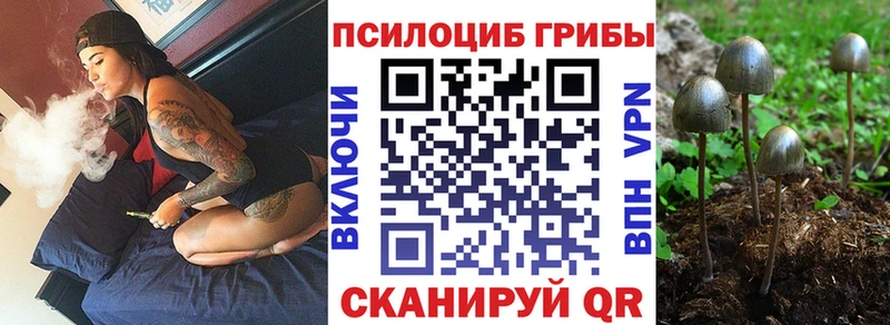 Псилоцибиновые грибы ЛСД  Новоузенск 